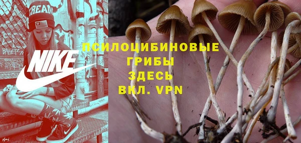 mix Алексин