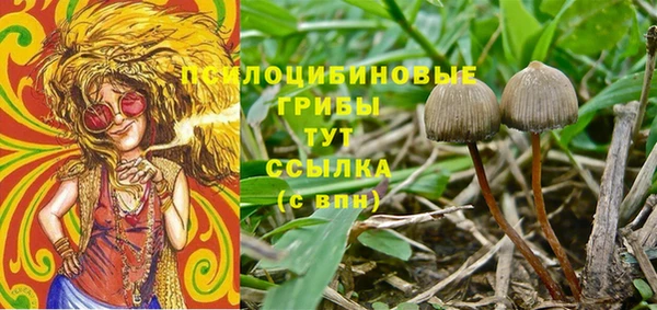 a pvp Алексеевка