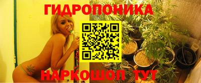гидра Камышлов
