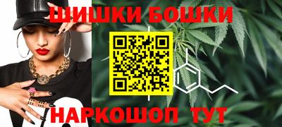 гидра Камышлов