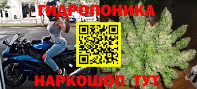 гидра Камышлов